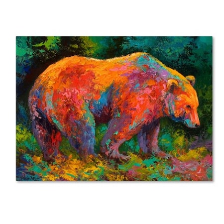 Marion Rose 'Deep Woods Grizz' Canvas Art,35x47